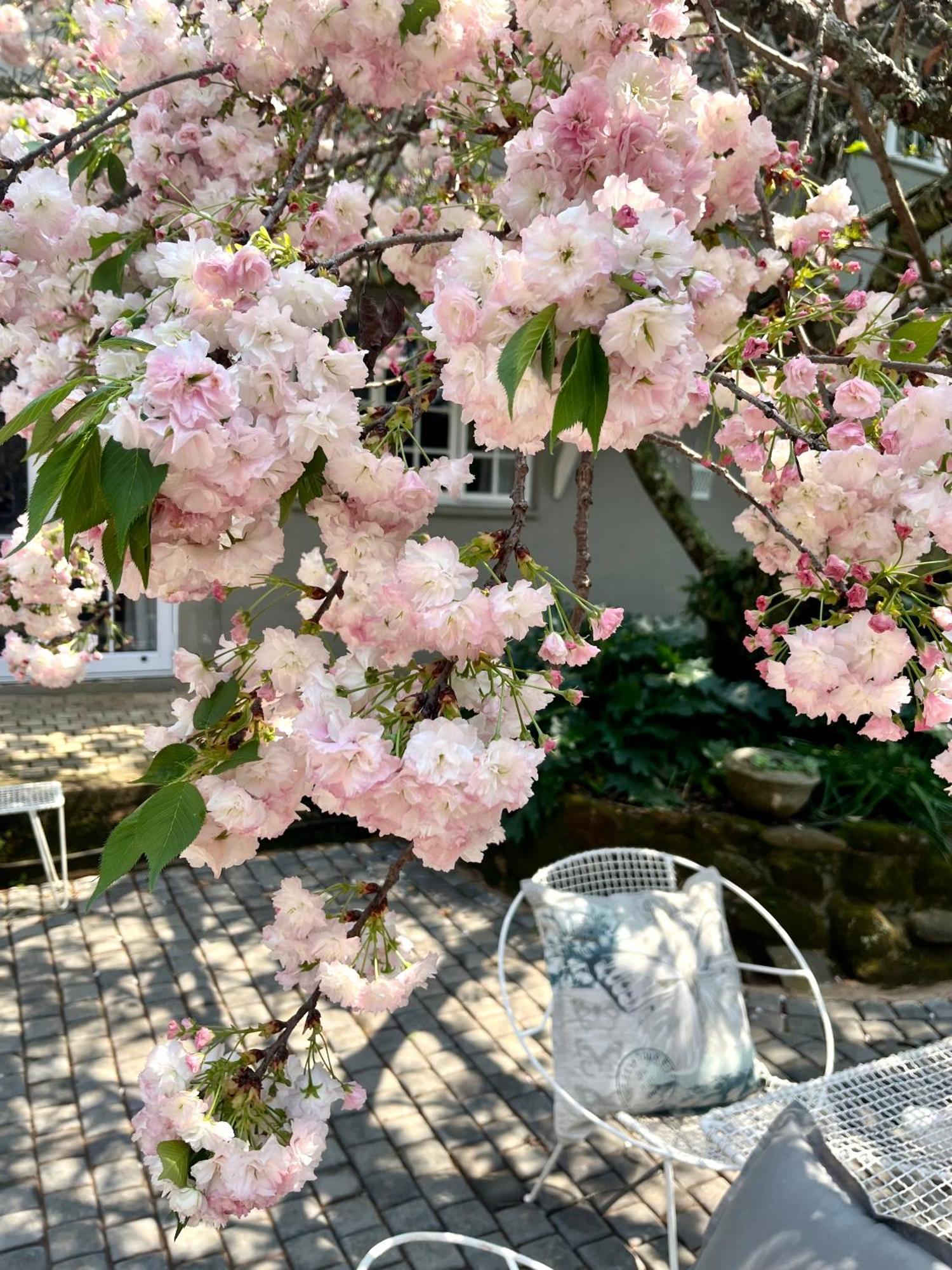 Gowan Valley Guest Farm Balgowan 외부 사진